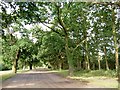 Lound Low Road Byway