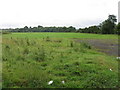 Fields at Fishwick Bottoms