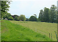 2010 : Cropped meadow in Bowden Park