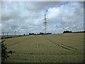 Weston-In-Arden Farmland