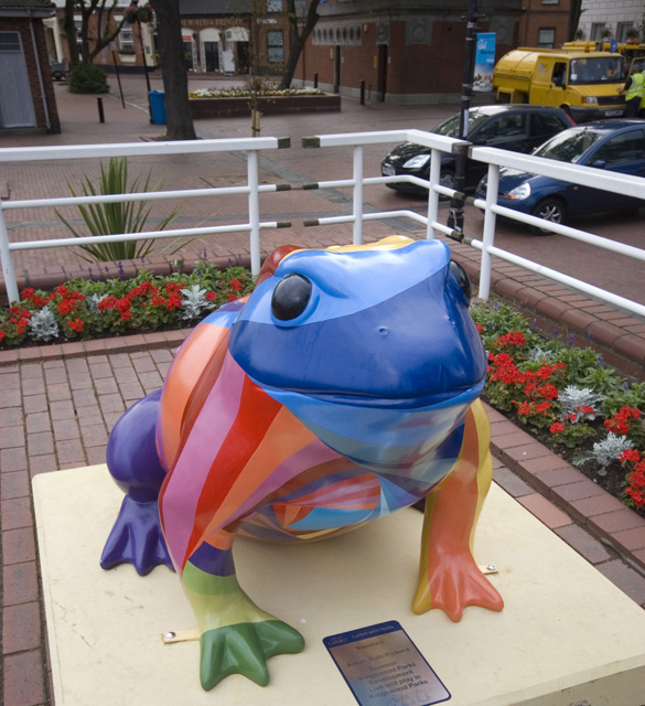 Larkin toad, Hull (7)