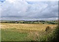SW8861 : Barley east of Bosoughan by Derek Harper