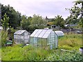 Allotments, off William Street, Felling