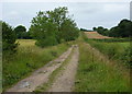 Westwards view along the track