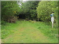 Footpath to Criggie