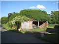 Ivy covered  barn