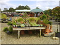 Plant table at Roman Way Garden Centre