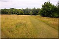 Pathway across Stonepit Field Park