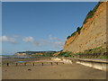 Cliffs and beach between Sandown and Shanklin