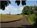 Clifftop gardens near Lake, IoW