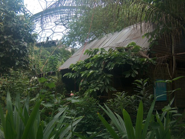 Jungle dwelling in the Rainforest Biome - Eden Project
