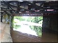 Under the West Coast Main Line with the River Eden