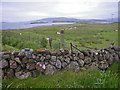 Peering over the drystone dyke at grazing sheep