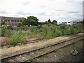 Disused railway sidings near Hanwell