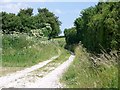 Bridleway near Dean