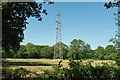 Pylon north of Horley