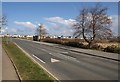 Speed humps, Trevenson Road