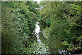 River Mole,  looking upstream