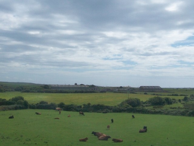Cattle at Penseri Farm by Eric Jones