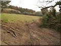 Field near Higher Gready