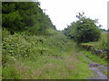 Bridleway at Duckworth Clough