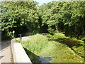 Former canal near Malpas Junction, Newport