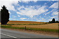 Fields and clouds