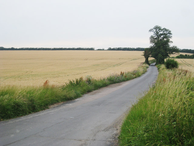 Wingham Well Lane