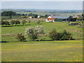 Farmland south of Moss House