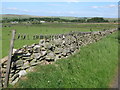 Moles on a wire west of West Stonehouse