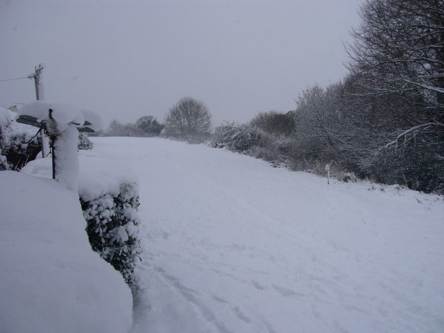 Tiverton : A Snowy Field