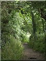 Bridleway near St Columb Minor