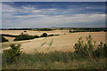 Farmland near Colt