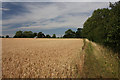 Footpath to Simpson