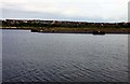 Looking across a former dock in Barry