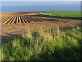 Ploughed field by the sea