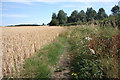 Footpath to Long Lane