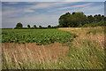 Farmland near Bradley Hill Farm