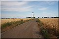 Bridleway to Wakeshall Farm