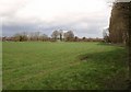 Field near Clapton in Gordano