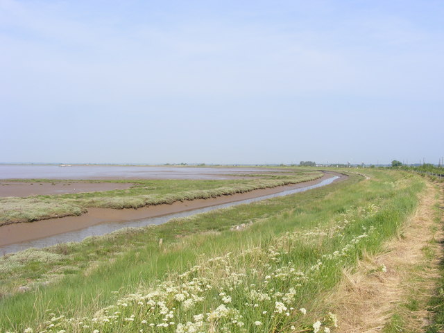 Marshes and Mudflats