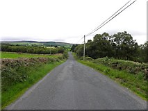 H5375 : Spring Road, Fernagh by Kenneth  Allen