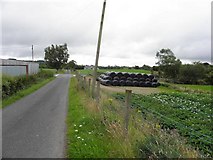 H5475 : Fernagh Road, Streefe Glebe by Kenneth  Allen