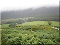 Fields flooding in North Laggan by Allt an Oighre