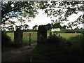 House and driveway near Swanbridge