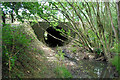 Channels Brook - culvert under the A264