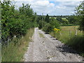 Road and footpath to Larch Spinney and The Old Laundry