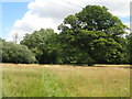 Footpath to Lidds Shaw