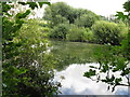 Roadside pond near Hammond