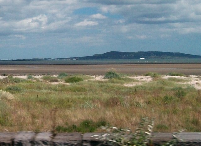 Low sand dunes at Booterstown